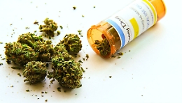 Cannabis terapeutica, anche l'Asp di Trapani firma la convenzion: ora in Sicilia sono 5