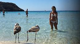 Destinazione paradiso, così la Sicilia può essere il vero volano del Belpaese (Covid permettendo)