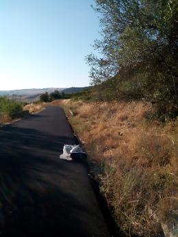 Rifiuti abbandonati lungo la SP 85 Nissoria/Gagliano