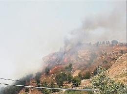 La Sicilia brucia per il caldo e gli incendiari, già 4.324 roghi