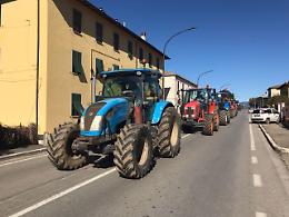 Latte: trattori a Grosseto, 'bruceremo tessere elettorali'