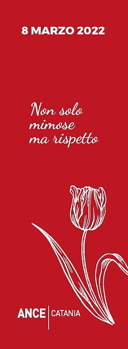 «Imprese edili, Ance Catania e le sue donne: un cammino di lotte e conquiste»