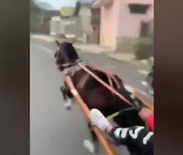 Corsa clandestina di cavalli a Brancaccio ripresa e postata su Tik Tok