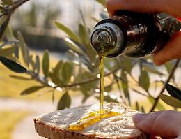 Gambero rosso, ecco gli oli siciliani premiati con "tre foglie"