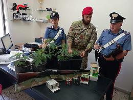 Belvedere, in casa droga, fucile, munizioni e due poiane (specie protetta): arrestato