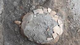 Scavi di Pompei, scoperta una tartaruga di terra col suo uovo: intatta dopo duemila anni