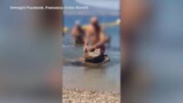 Castellammare, prende a martellate uno scoglio per ricavarne i datteri di mare