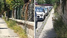 Diserbo, Siracusa infestata. Servizio tra misteri, ritardi e spese