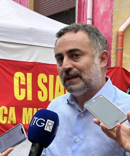 Stellantis: De Palma, Tavares ci incontri o andremo a Parigi