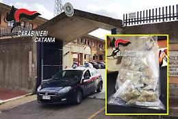 Sorpreso in un terreno mentre cerca di nascondere quasi 100 grammi di marijuana: arrestato