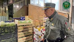 Caltanissetta, blitz della Forestale al mercato ortofrutticolo: 7 verbali e 9.000 € di sanzioni