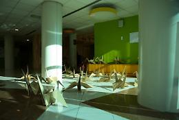 Un "Giardino Volante" per i piccoli pazienti dell’Oncoematologia pediatrica