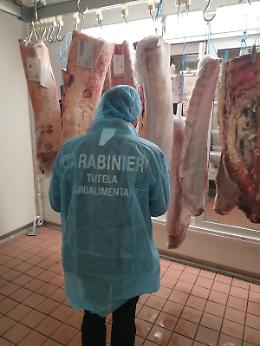Oltre 20 chili di carne non tracciata sequestrati a Taormina