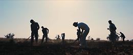 Migranti, a Catania social farm per dire no al caporalato