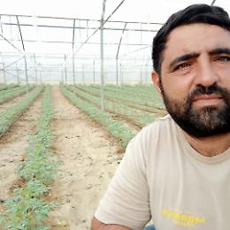 Agricoltore muore per un malore a 38 anni, occupata aula consiliare di Pachino