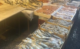Pesce non tracciato venduto al mercato di Ballarò: venditori fuggono tra la folla