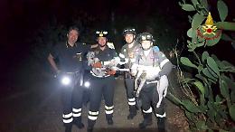 Due cani finiscono in un dirupo: salvati dai vigili del Fuoco con tecnica SAF