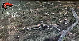 Proteggere "l'oro verde" di Bronte: operazione contro furti e contraffazione VIDEO 