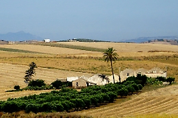 Quaranta milioni per agriturismi e agricoltura sociale: incentivi fino al 60% per diversificare le aziende rurali