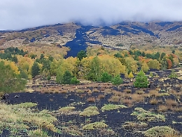 Sull'Etna il foliage “di casa nostra”, accessibile, autentico e senza biglietto d’ingresso