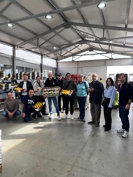 La domanda della pesca Igp di Leonforte supera l'offerta, per la prima volta sarà esportata anche negli Stati Uniti