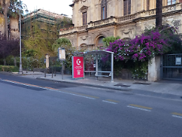 «Pensiline AMTS di viale Regina Margherita: estetica o funzionalità?»