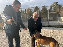 Vittoria, il canile di contrada Carosone è stato autorizzato