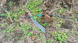 Parco Gioeni, riqualificato da pochissimo ma già danneggiato