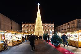 A Catania si accende il Natale: un albero di 22 metri illumina piazza Università 