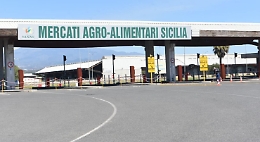 Maas di Catania, c'&egrave; il piano di risanamento:  l'operazione che consentir&agrave; di pagare 13 milioni di debiti