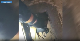 Carabinieri e polizia, al setaccio citt&agrave; e provincia: sequestrate pistole allo Zen  e tre arresti per furto di corrente 