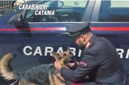 Cane lasciato chiuso in auto come "antifurto" a Catania: denunciato un 64enne residente in Svizzera