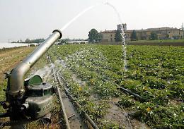 Consorzio di bonifica Ag 3 senza pace: lavoratori a secco da marzo, scatta la protesta per difendere l'irrigazione
