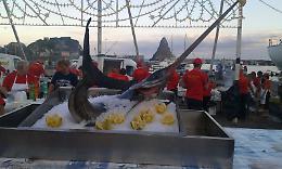 Dal pesce spada alla vastedda cu sammucu:  feste, sagre, eventi del weekend in Sicilia