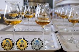 Alambicco d'oro, tra grappe, drandy e gin ecco  chi sono i siciliani che conquistano medaglie 