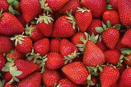 Le sagre in Sicilia del weekend: dalla fragola al pesce, dal gelato originale al wine fest 