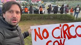 Sit-in contro i circhi con animali, c'era anche l'assessore Ferrandelli: &laquo;Basta sfruttamento&raquo;