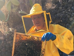 Dalla Svizzera a Ginostra per produrre il miele di cappero. &laquo;&Egrave; l'unico al mondo, rilanciamo l'agricoltura a Stromboli&raquo;