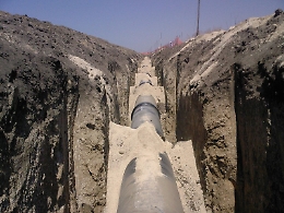 Il processo a Catania sul crac dell&rsquo;ex colosso Sigenco: arrivano tre condanne e quattro assoluzioni