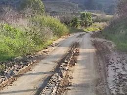 &laquo;La Sp 214 percorribile solo con i trattori&raquo;