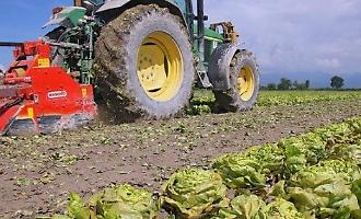 Agricoltura, svolta per le imprese agrigentine: in arrivo nuove risorse per la lotta integrata