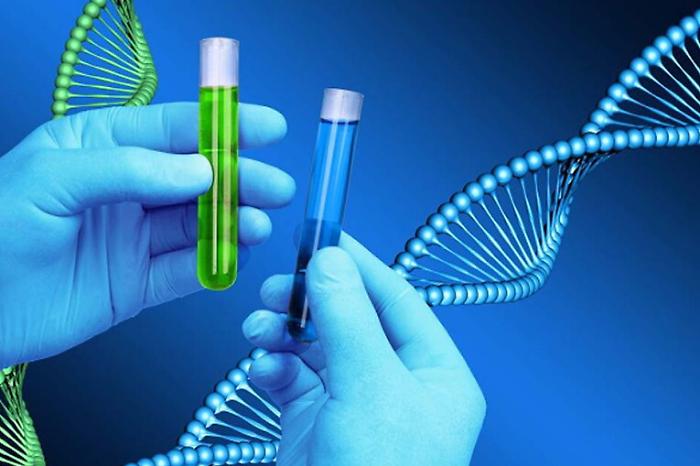 Prof con studente, dna confermerebbe paternit&agrave; del 15enne
