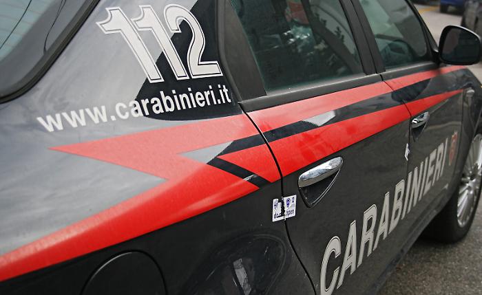 Cane senza guinzaglio aggredisce il vicino: l'uomo spara due colpi di pistola e lo ferisce