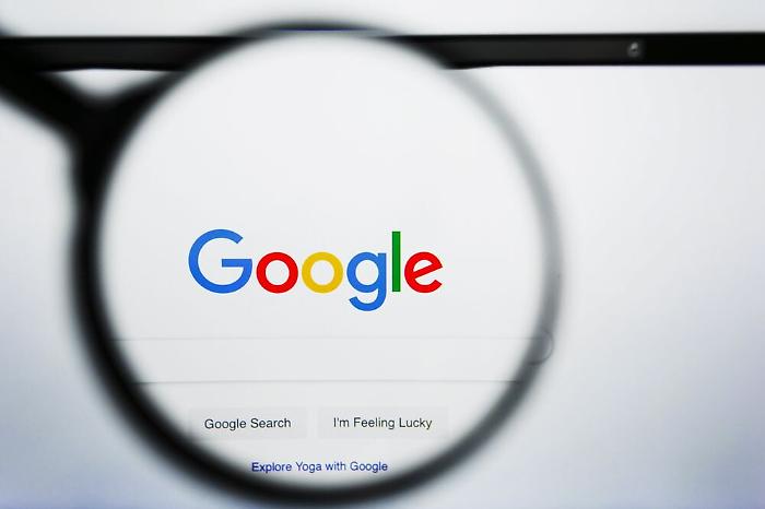 Da Nadia Toffa alle "sardine": ecco cosa ha cercato l'Italia su Google 
