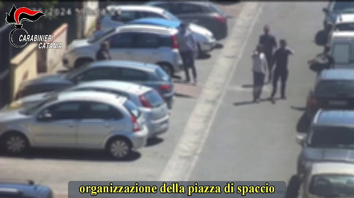 Operazione Capinera (2)