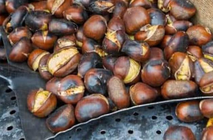 Festa del Castagno
