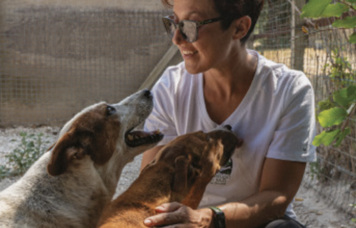 Chiaramonte, una giornata dedicata a incentivare l'adozione dei cani