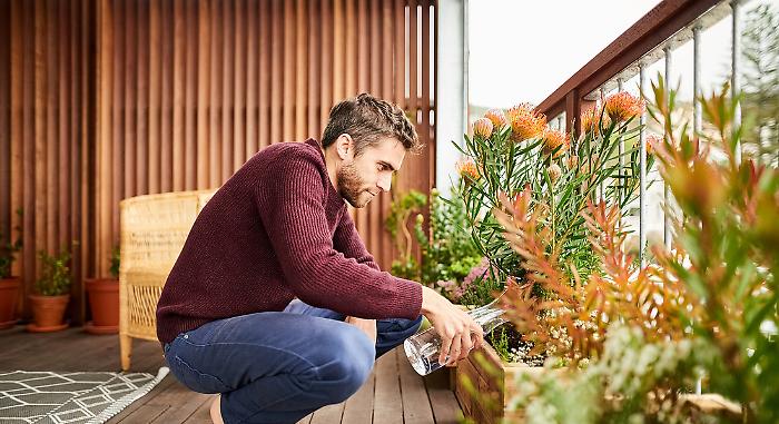 Vivere da solo non è più un peso: bonus e agevolazioni per pagare meno nel 2025