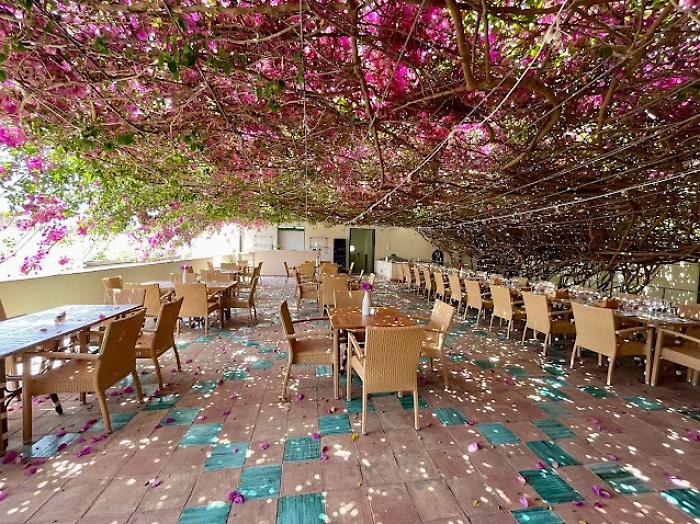 La Bougainvillea di Casa Planeta entra nell'elenco nazionale degli Alberi Monumentali d’Italia