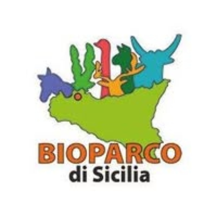 Domenica incantata al Bioparco di Sicilia: Natale tra animali, laboratori e magia